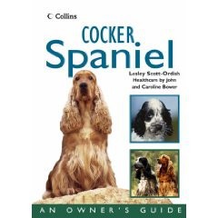 Cocker Spaniel - Lesley Scott-Ordish